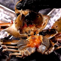 냉동꽃게 암게 라운드 삼점게 급냉 암꽃게, 암꽃게(60-80g) 6kg, 1개