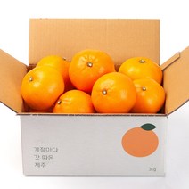 깨비농원 제주 천혜향, 1box, 천혜향 2.5kg 중과(11-14과)