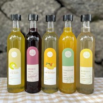 유진팡 제주산 발효 과일청 300ml, 제주산 풋귤청