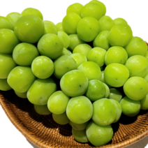 [싱싱한마켓] 프리미엄 고당도 샤인머스켓 포도 망고포도 1kg 2kg 설 명절 선물세트, 샤인머스켓 1kg(1~2수)