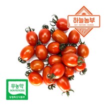 하늘농부 친환경 대추 방울 토마토 500g 1kg, 방울토마토 500g, 1개