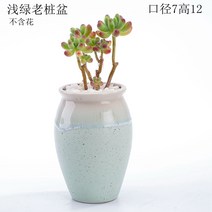 귀여운 다육이 화분 듀가르손 홈 동물 리톱스 만손초 가드닝 도자기 세라믹 사무실 다유기, 연둣빛 오래된 대야, 중간 정도