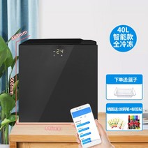 미니소형 냉동고 가정용 서랍식 원룸 자취 40L, 40L 블랙