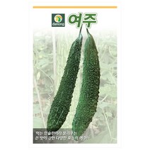 여주쓴오이씨앗 100립, 1개