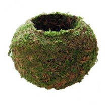 ST SHOP 9X 팩 이끼 심기 공 즙이 많은 식물 냄비 난초 컨테이너 장식 9cm, 녹색