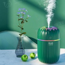 300ml 휴대용 스마트 가습기 가정용 향수 오일 USB 아로마 디퓨저 메이커 스타 컵 공기 청정기, [03] fireworks green