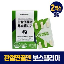 프롬바이오 관절 연골 보스웰리아 보수엘리아 보스엘리아정 보스웰니아 보스웰리스 보수웰리아 1개월 2개월 3개월 4개월 5개월 6개월분, 2박스, 30정