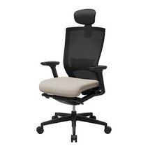 시디즈 의자 T50 업그레이드 2023년형 TNE500HLDA 사무용 의자 학생 의자 서울대 의자, 아이보리