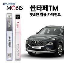 현대 모비스 싼타페 TM 카페인트 자동차 붓펜 M2F NKA PDW R2F ST2 T2X WW2, W2P-와일드익스플로러(주문색상)