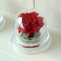 더봄아크릴돔카네이션RED, 아크릴돔카네이션(RED)