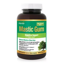 위 매스틱 검 1000mg 120식물성캡슐 2개월분 그리스 키오스나무 추출물 허바 캐나다, 1병/120캡슐/2개월분