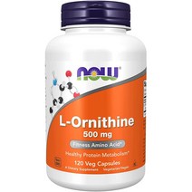 NOW L-오르니틴(L-Ornithine Hydrocloride) 500mg 120개 베기캡슐