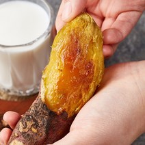 [40년 고구마] 해남 2022년 수확 꿀고구마 베니하루카 맛있는 고구마, A-1) 특상 10kg x 1박스 (100~300g)