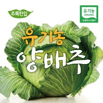 국내산 양배추 2kg, 쿠팡이것저것 1, 쿠팡이것저것 본상품선택