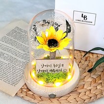 메세지 각인 해바라기 유리돔 무드등 개업 생일 선물, 폰트3