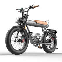 COSWHEEL 코스휠 CT20 20인치 전기자전거 48V 750W 리튬배터리 팻바이크, 20Ah(80km 주행가능)