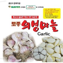 2023년도 마늘 통마늘 한지형 의성마늘 햇마늘 +10톨 덤, 1개, 홍산 마늘 중품 5kg