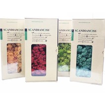 스칸디아모스 소분 20g 30g 50g 500g 소포장 DIY, 퍼플50g, 1개