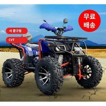 비브레 사륜바이크 사륜 바이크 구동 전기, 패키지 B