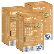 뉴트리딘 프리미엄 미네랄 커큐민 강황 플러스, 60정, 3개