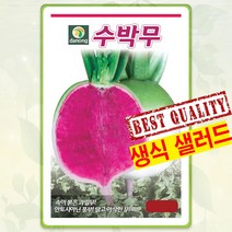 과일무 씨앗 종자 씨 무씨앗 무씨 수박무 100립 DN