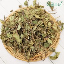 산골소녀 국내산 삼백초, 100g, 1개