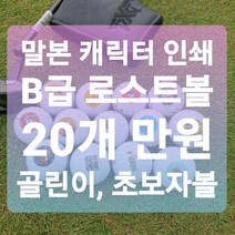 메이저브랜드 로스트볼 B급 로스트볼 20알 1세트 말본 캐릭터 프린팅 골린이 초보자 골프공, 투어스테이지
