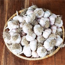 국내산 남도마늘 대사이즈 반접 50개내외 한접 100개내외 / 산지직송, 남도마늘 대사이즈 반접(50개내외)