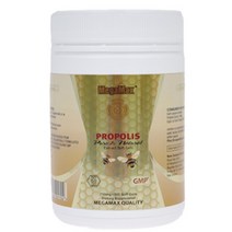 MEGAMAX PROPOLIS 메가맥스 프로폴리스 500mg 500정