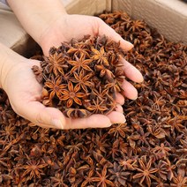 자연닮음 팔각회향 팔각향 12kg 대용량 향신료 뱅쇼 마라탕 오향족발, 1개