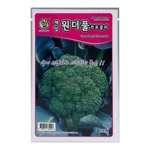 모칸도 제일 원더풀 브로콜리 200립, 1개