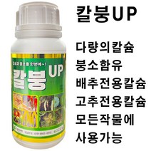 칼붕업500ml 유일 칼슘 붕소 한번에 시비 배추 고추 무 김장 비료 칼슘제 식물영양제 모두싹 혼용가능