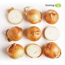 쿠잉Fresh 국내산 햇 양파 2 4 8kg 소 중 대 특대, 2kg(대), 1개