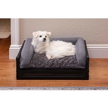 New Age Pet ECOFLEX 버디의 실내 높은 개 고양이 반려동물 데이베드 가구 - 스몰