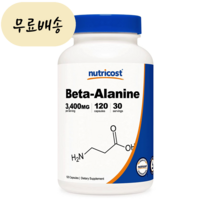 뉴트리코스트 베타 알라닌 3400mg 120개입 [미국 직배송], 1개, 120개