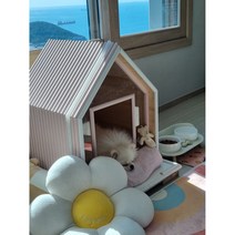 자체제작 원목 항균 애견 하우스 소형 중형 사계절 프리미엄 강아지집 고양이집, 블랙