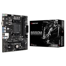 Biostar B550MH