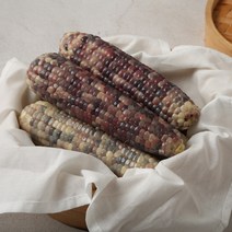 삼기품 쫀득하고 고소한 곡성 삼기 흑찰옥수수, 3팩, 총9개입