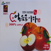 얼음골 사과즙, 50팩, 100ml