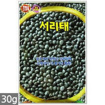 송송이 방울토마토 씨앗 50립 - 방울토마토씨앗 토마토씨앗 방울토마토씨 토마토씨 채소씨앗 주말농장 텃밭, 17_서리태콩(30g)