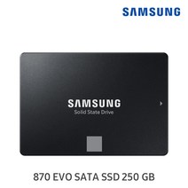 삼성전자 870 EVO SSD, MZ-77E250B/KR, 250GB