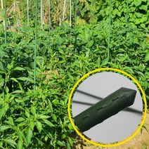 초록색 화초 지지대 화분 넝쿨 식물 과수 하우스 꽃 토마토 고추 수목 키우기 철 받침대 90센치