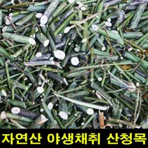 ★쭈니파파몰★ 고씨네 산청목 벌나무200g 산청목벌나무 벌나무200G, 본상품