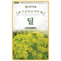 마가렛 1g - 마가렛트 금황꽃 허브 허브씨 허브씨앗 씨 씨앗 마가렛씨앗 마가렛씨 꽃씨 꽃씨앗 다년생 여러해살이 나무쑥갓 marguer, 04_다농_딜(1g)