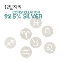 폭스타일 실버 컨스텔레이션 라운드 귀걸이