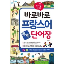 헤어핀 머리핀 부자재프랑스어 우아한 삼각형 한 단어 중공 플라스틱 머리 발톱