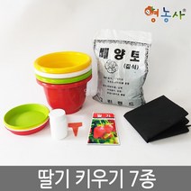 딸기키우기 7종, 단품