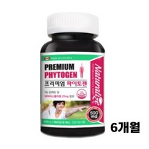 파이토젠 대두 이소플라본 식물성 에스트로겐 여성 갱년기 영양제 PHYTOGEN, 1개, 파이토젠 6개월분