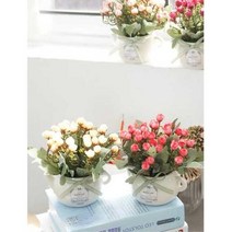 물조리개 화분 꼬마 장미 조화 화분장식 신혼집 봄, 선택사항_믹스