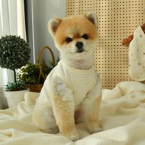 강아지옷강아지조끼실내복 가성비 좋은 상품으로 유명한 판매순위 상위 제품